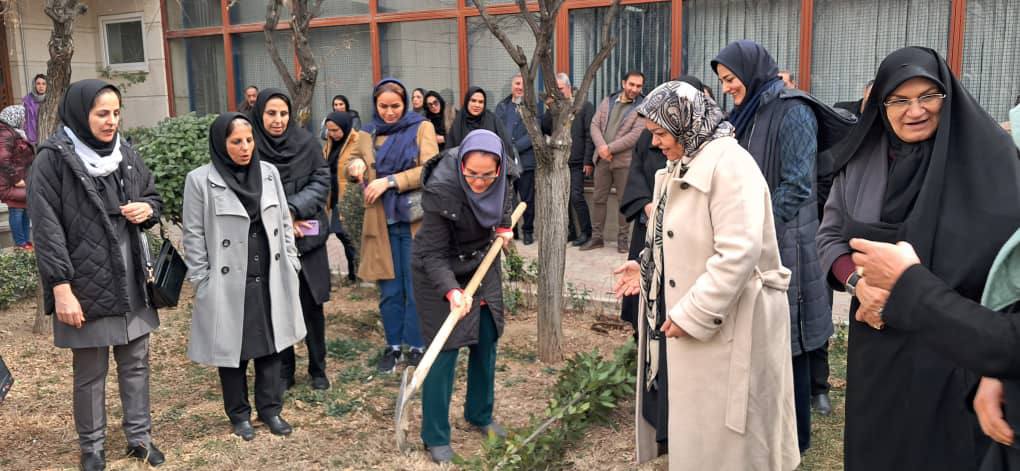 pic's of main's title