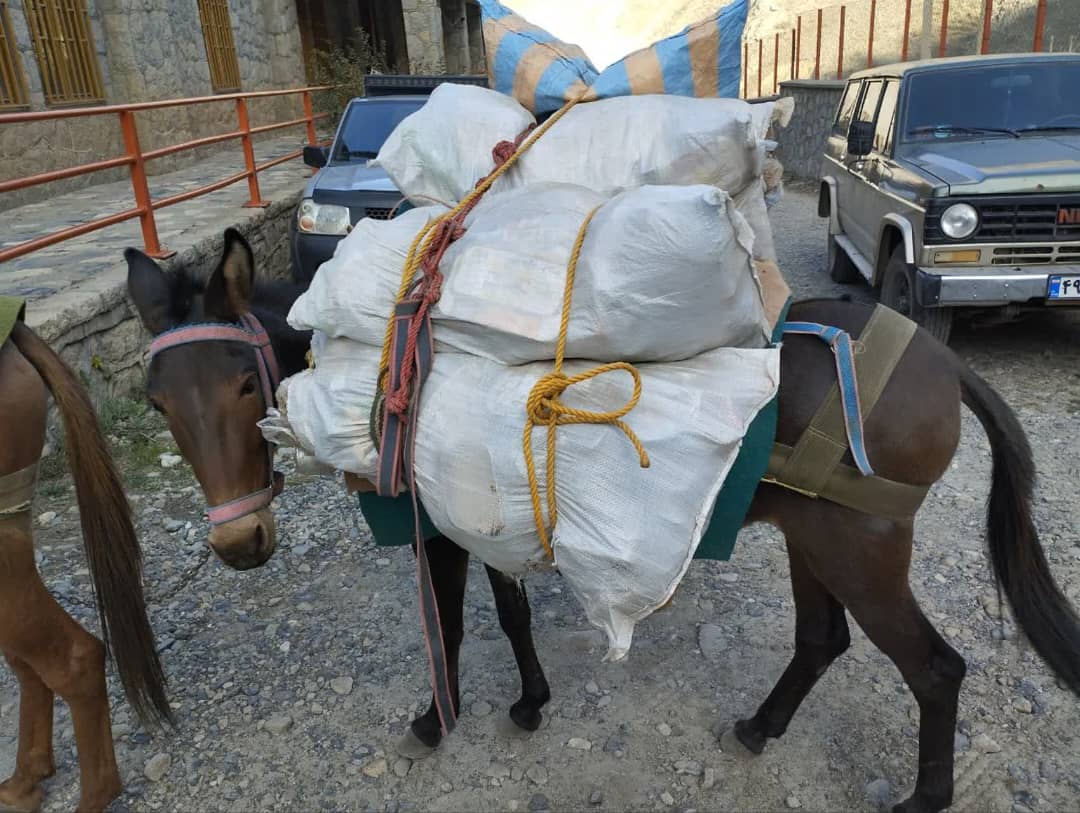 pic's of main's title