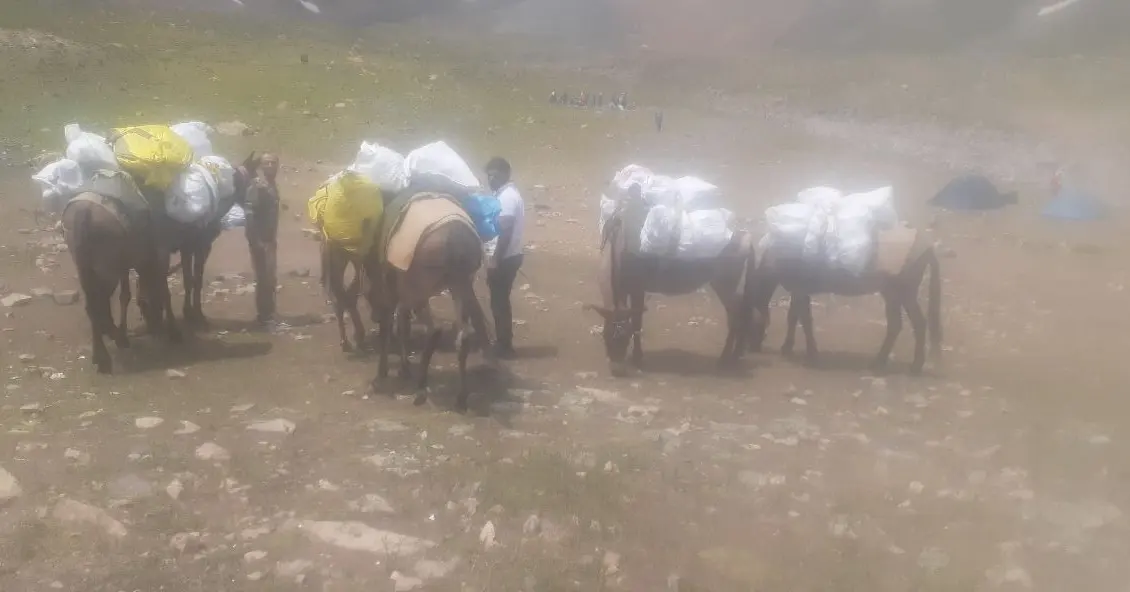 pic's of main's title