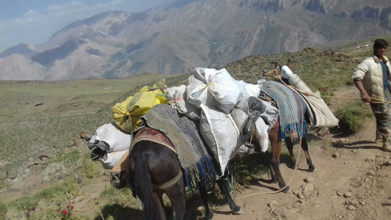 pic's of main's title