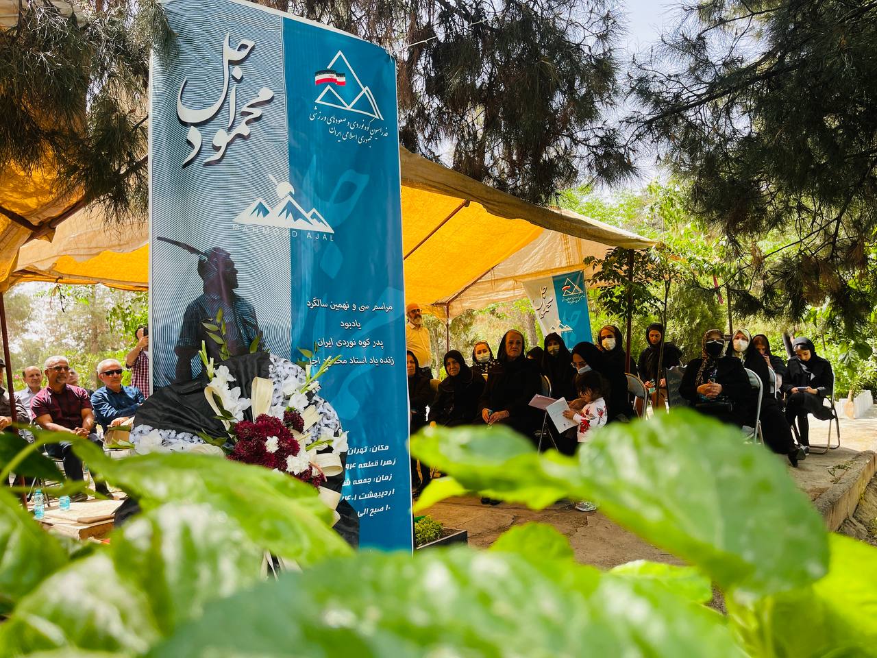 pic's of main's title