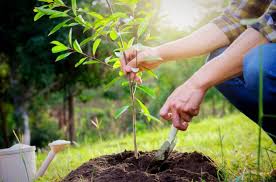 pic's of main's title