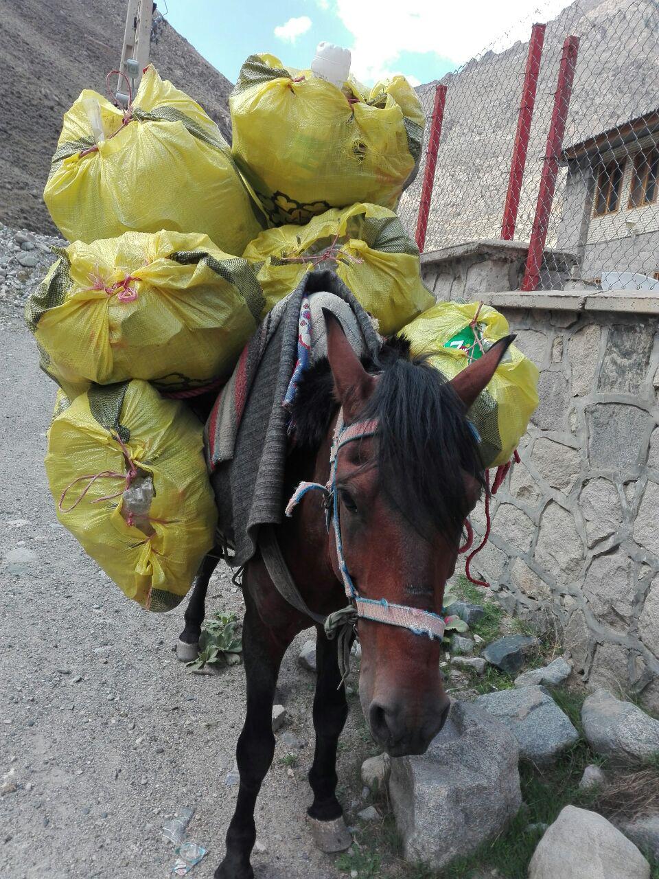 pic's of main's title