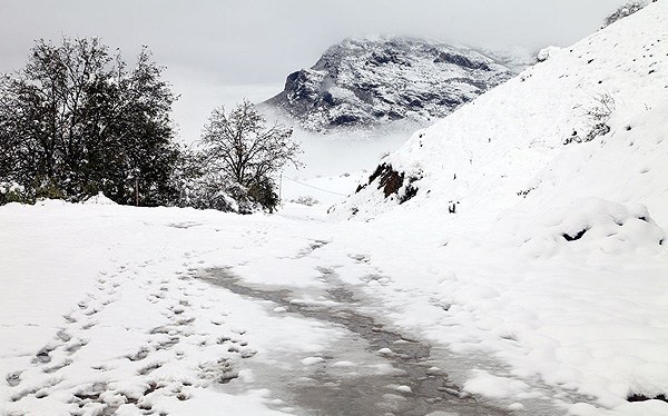 pic's of main's title