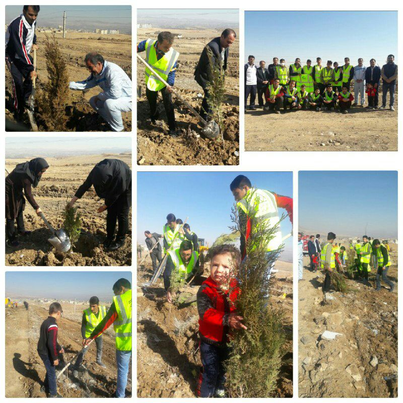 pic's of main's title