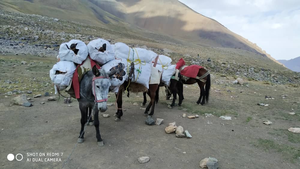 pic's of main's title