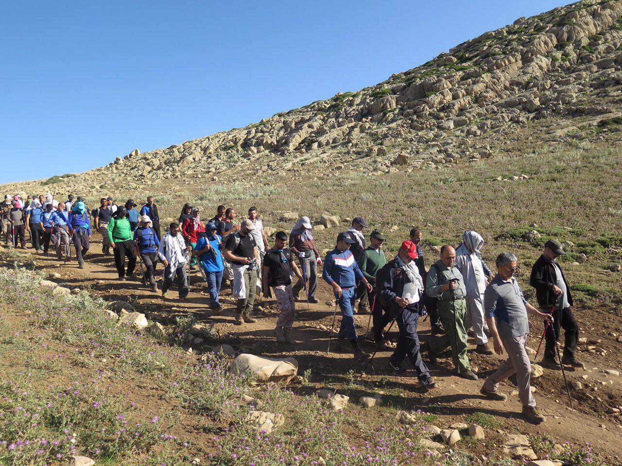 pic's of main's title